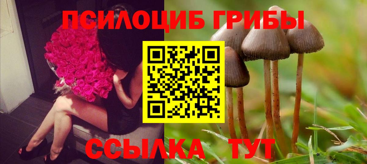 Псилоцибиновые грибы мухоморы Кубинка