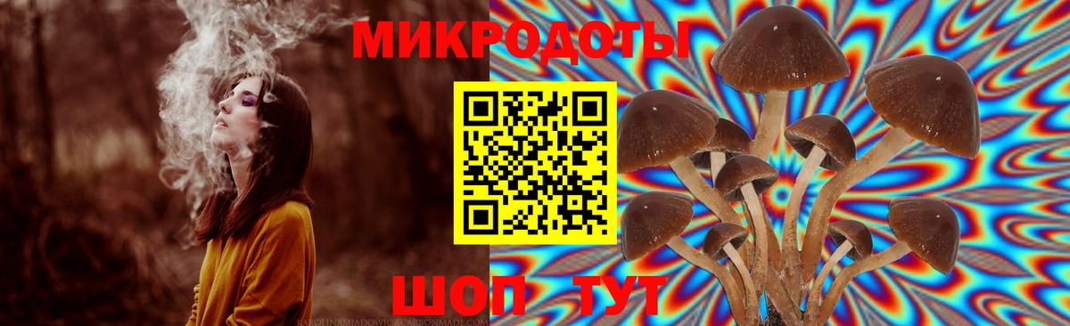 Кубинка  Галлюциногенные грибы Cubensis  Псилоцибиновые грибы MAGIC MUSHROOMS  Вход с VPN 